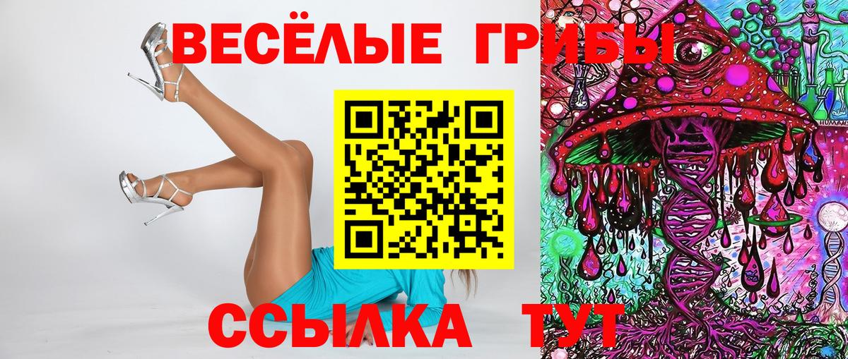 Шатура  Галлюциногенные грибы мухоморы  где купить   Вход с VPN 